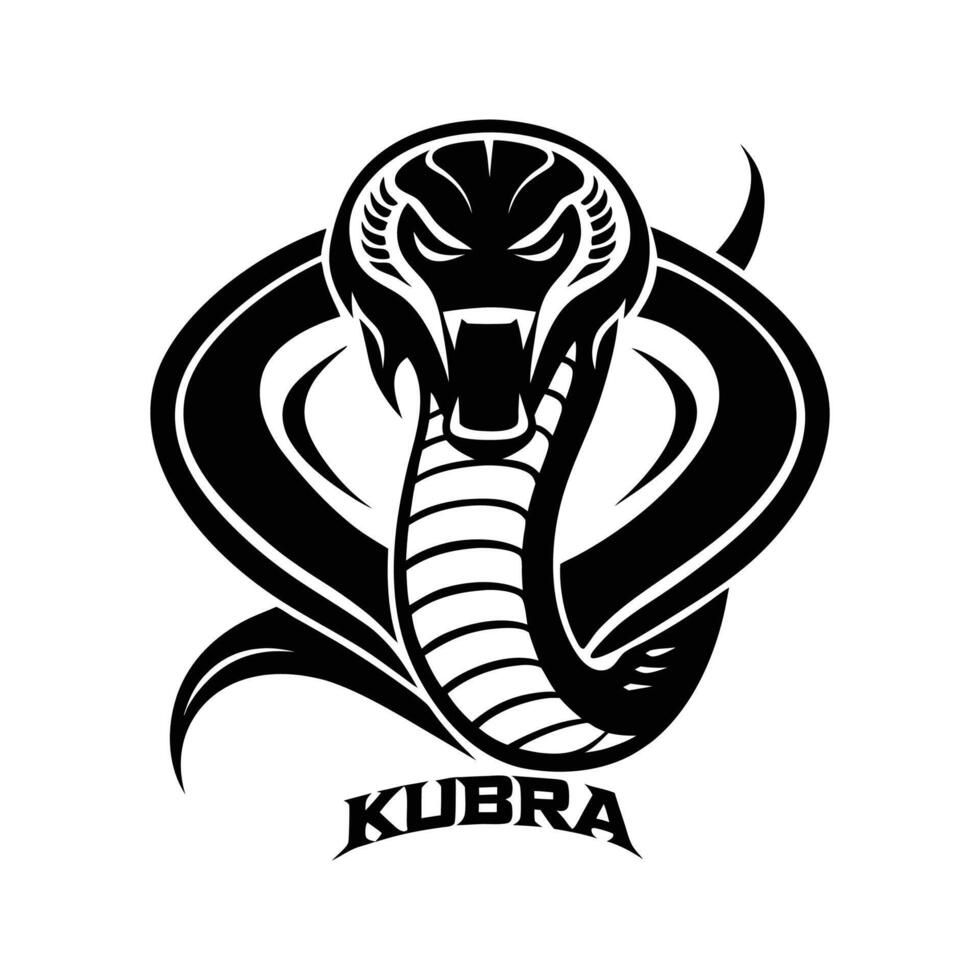 The logo for kubra vector