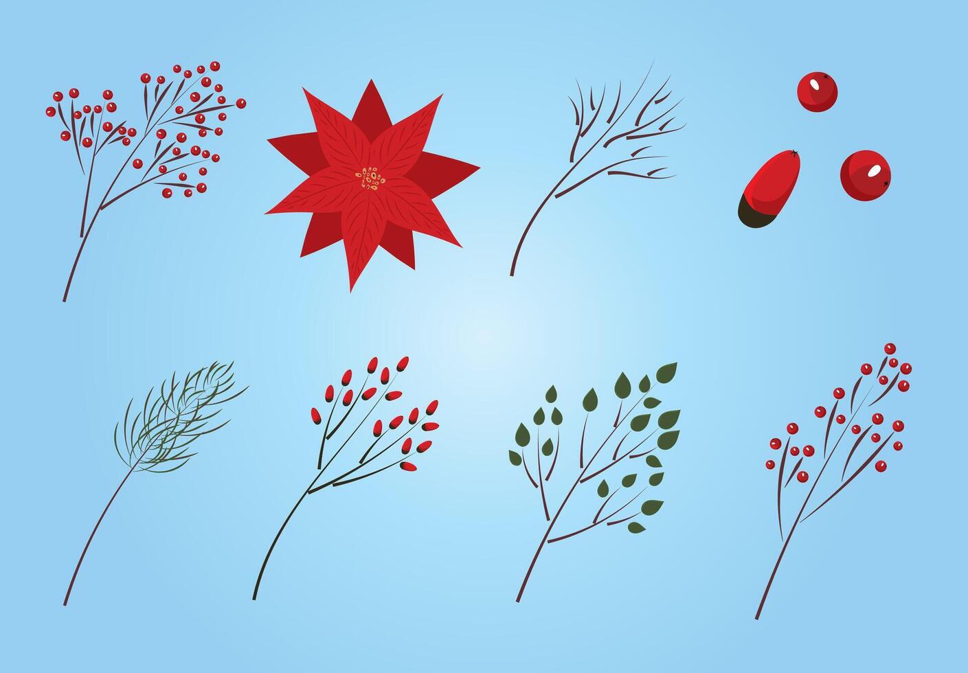 Set of decorative winter floral elements. Christmas and new year design kit vector