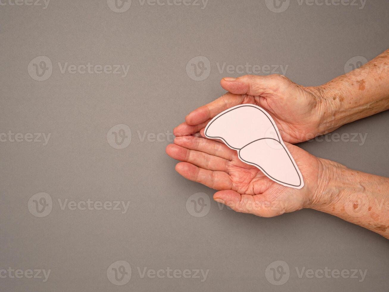 Liver shape made from paper on a palm senior woman over a gray background photo