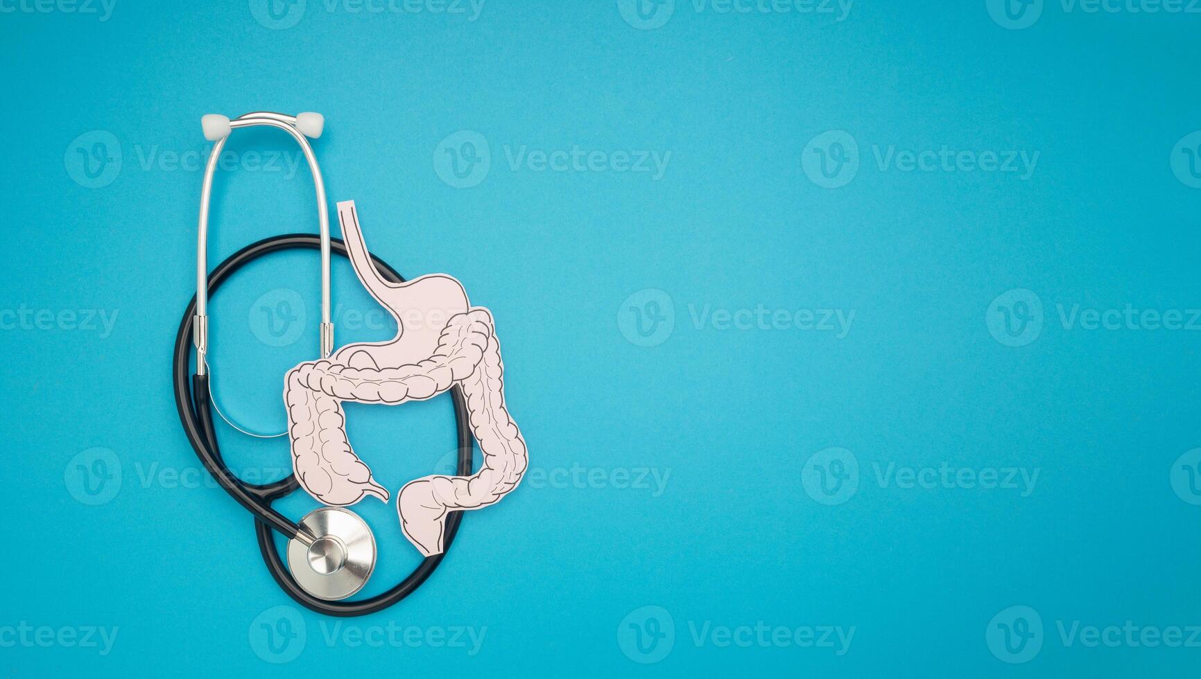 A stethoscope and large intestine shape made from paper over a blue background photo