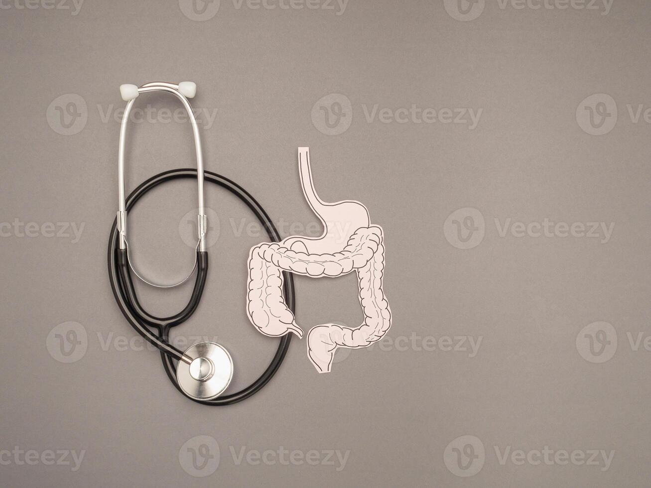 A stethoscope and large intestine shape made from paper over a gray background photo