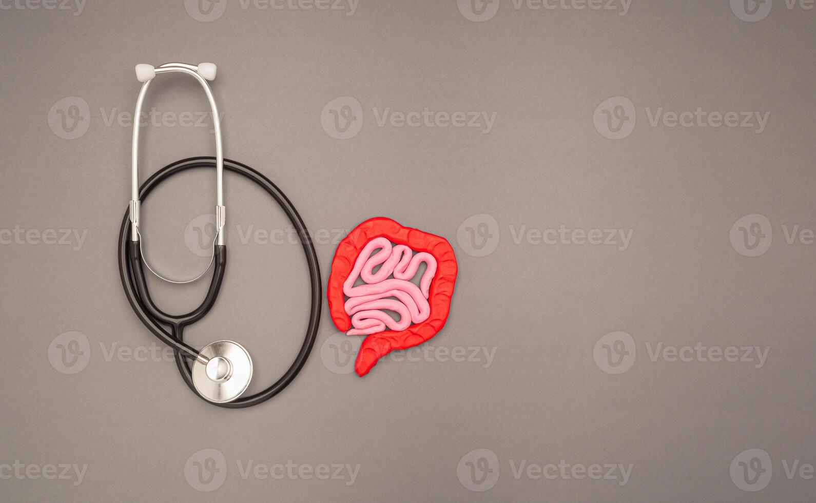 A stethoscope and large intestine shape made from plasticine over a gray background photo