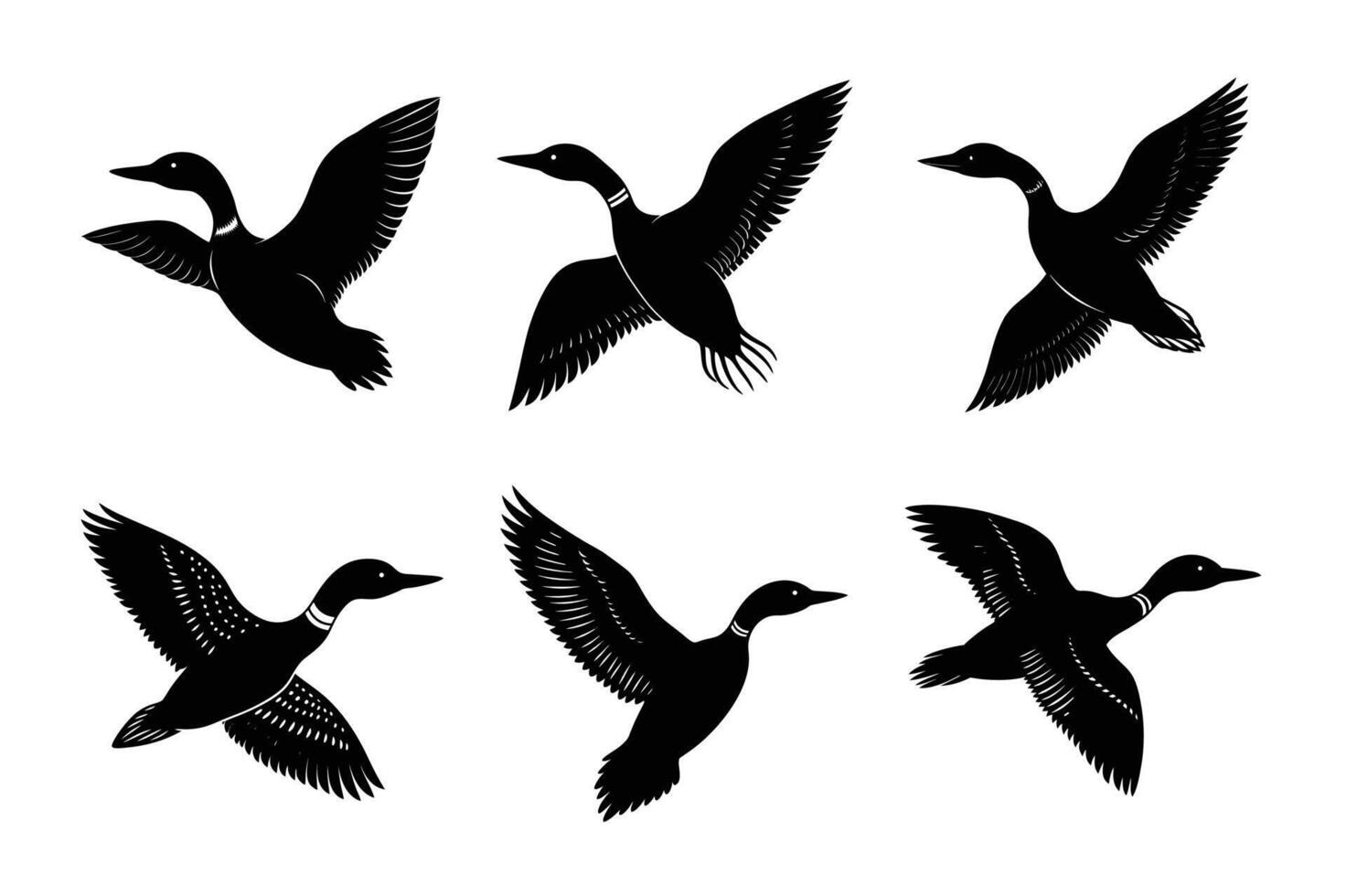 flying loon bird silhouette. vector