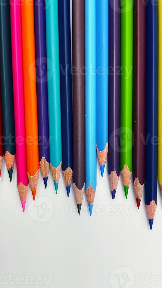 Colorful pencils arranged in a row on a white background photo