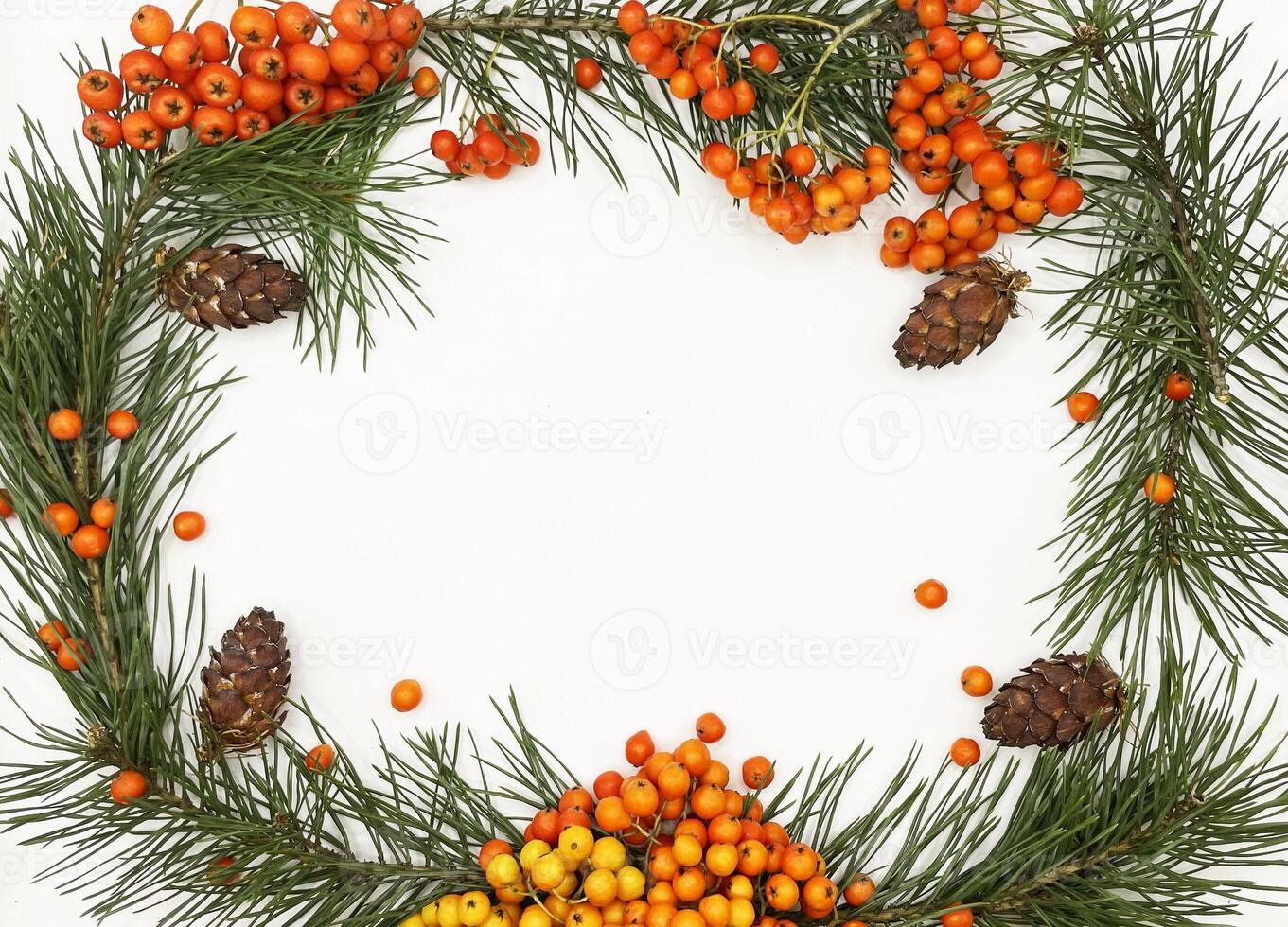 A wreath of pine cones and berries is arranged on a white background photo