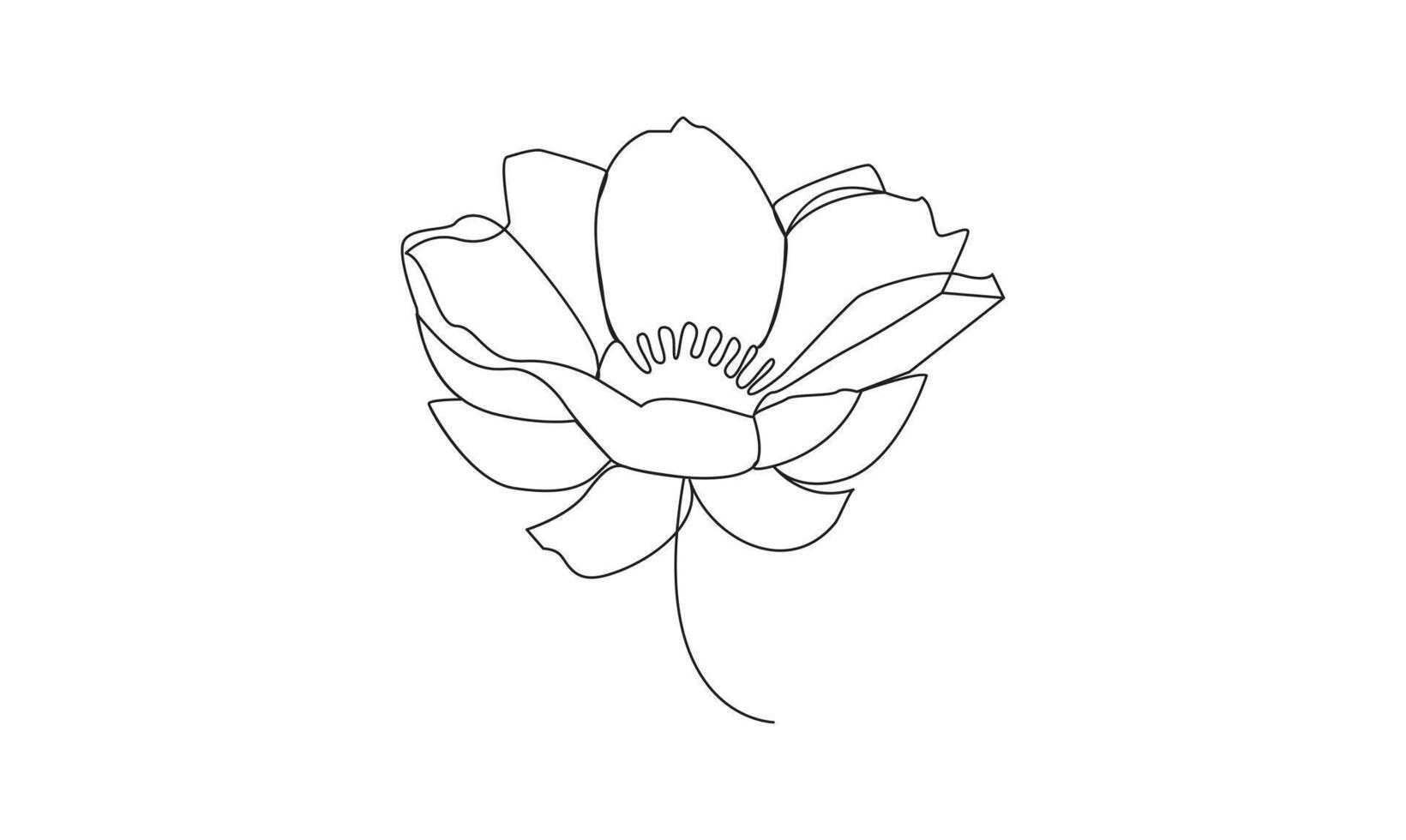 Water lily one line drawing on white background minimalist. Premium vector