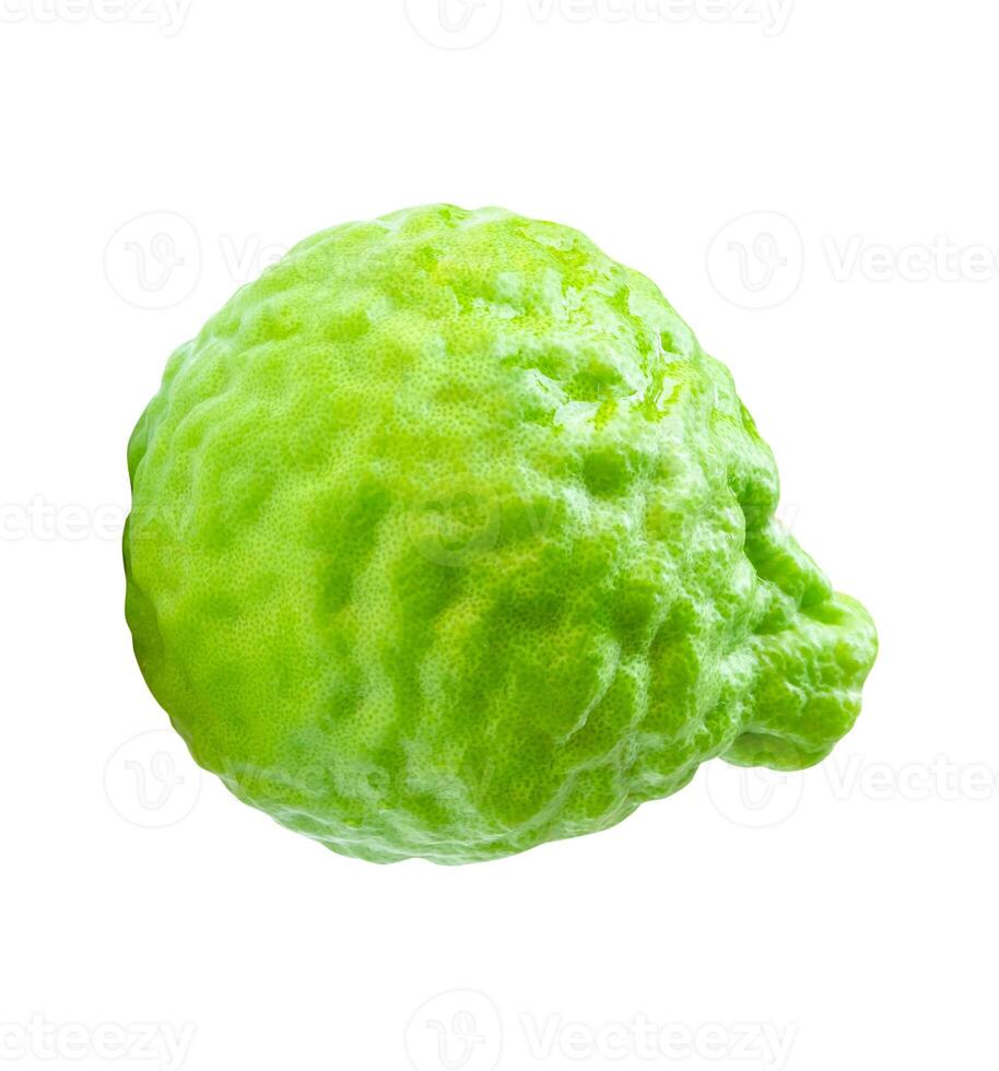 Top view of single fresh bergamot fruit or kaffir lime isolated on white background with clipping path photo