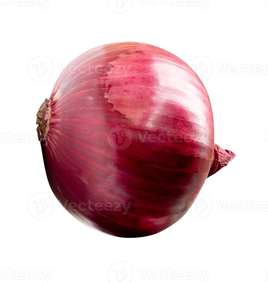Top view of single fresh red or purple onion bulb isolated on white background with clipping path photo