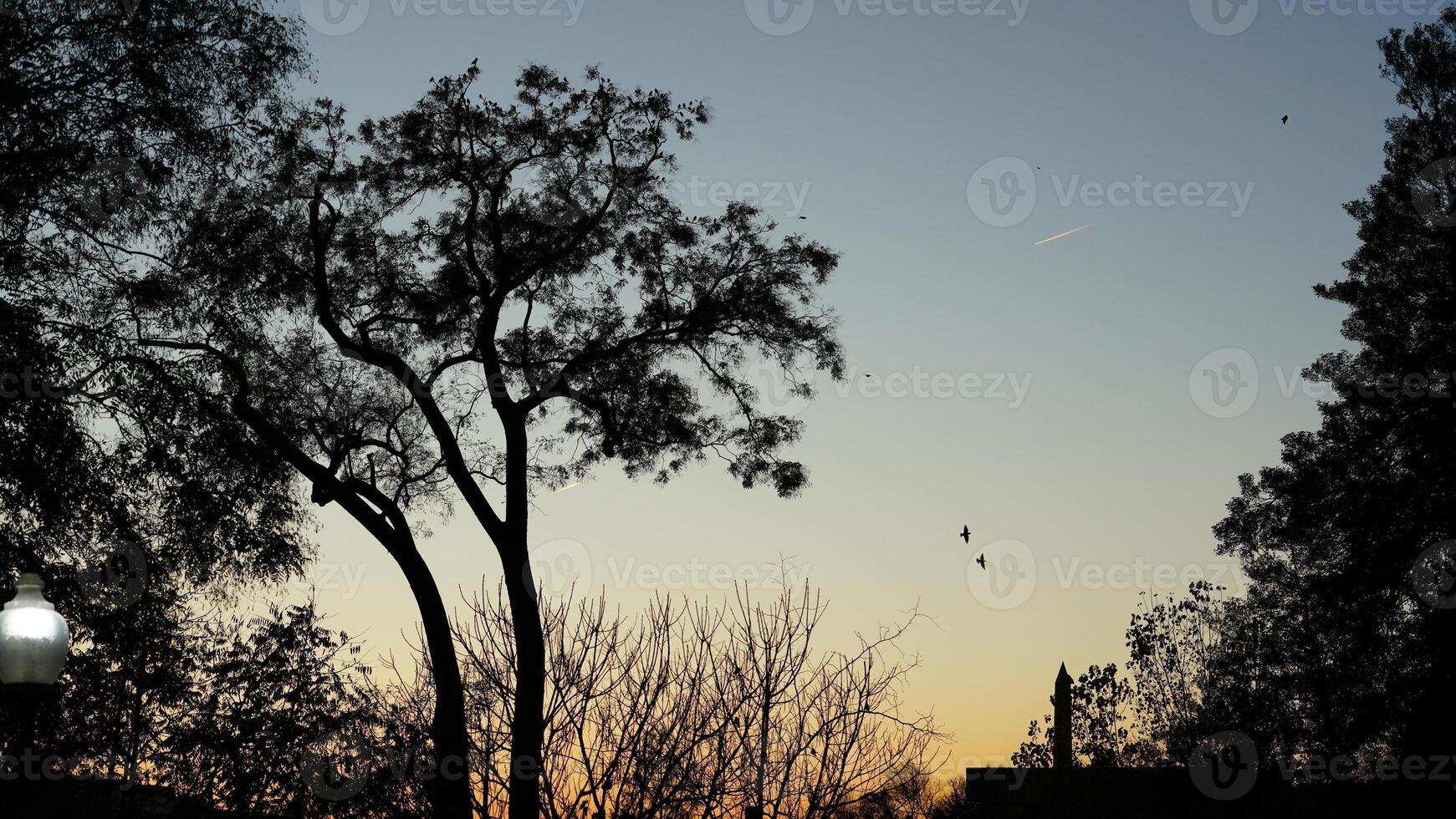 The beautiful sunset sky view with the colorful clouds as background photo