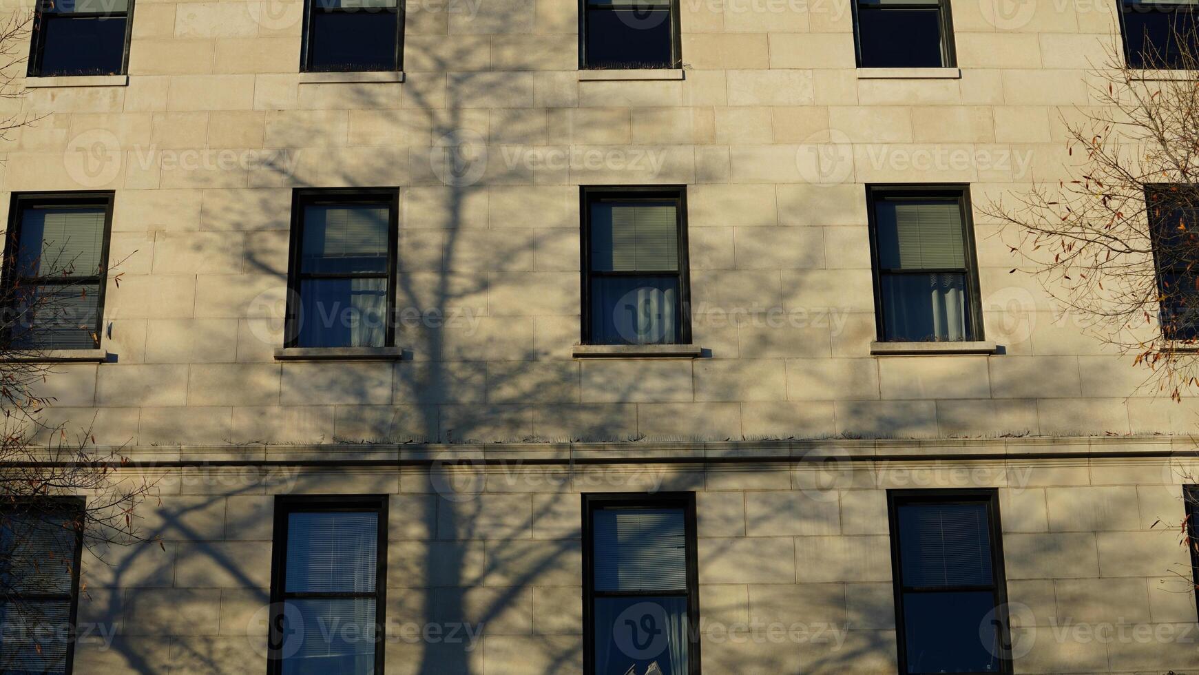 The Washington DC city view with the old architectures in autumn photo