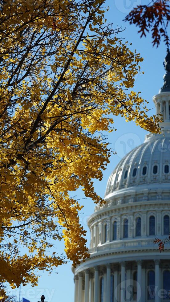 The Washington DC city view with the Capitol Hill building as background in autumn photo
