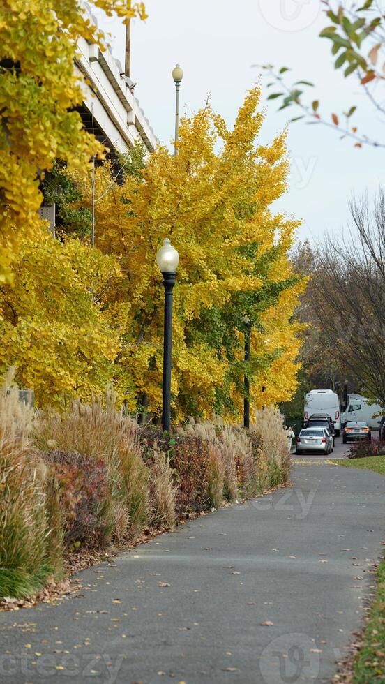 The beautiful Wshington DC city view in autumn photo