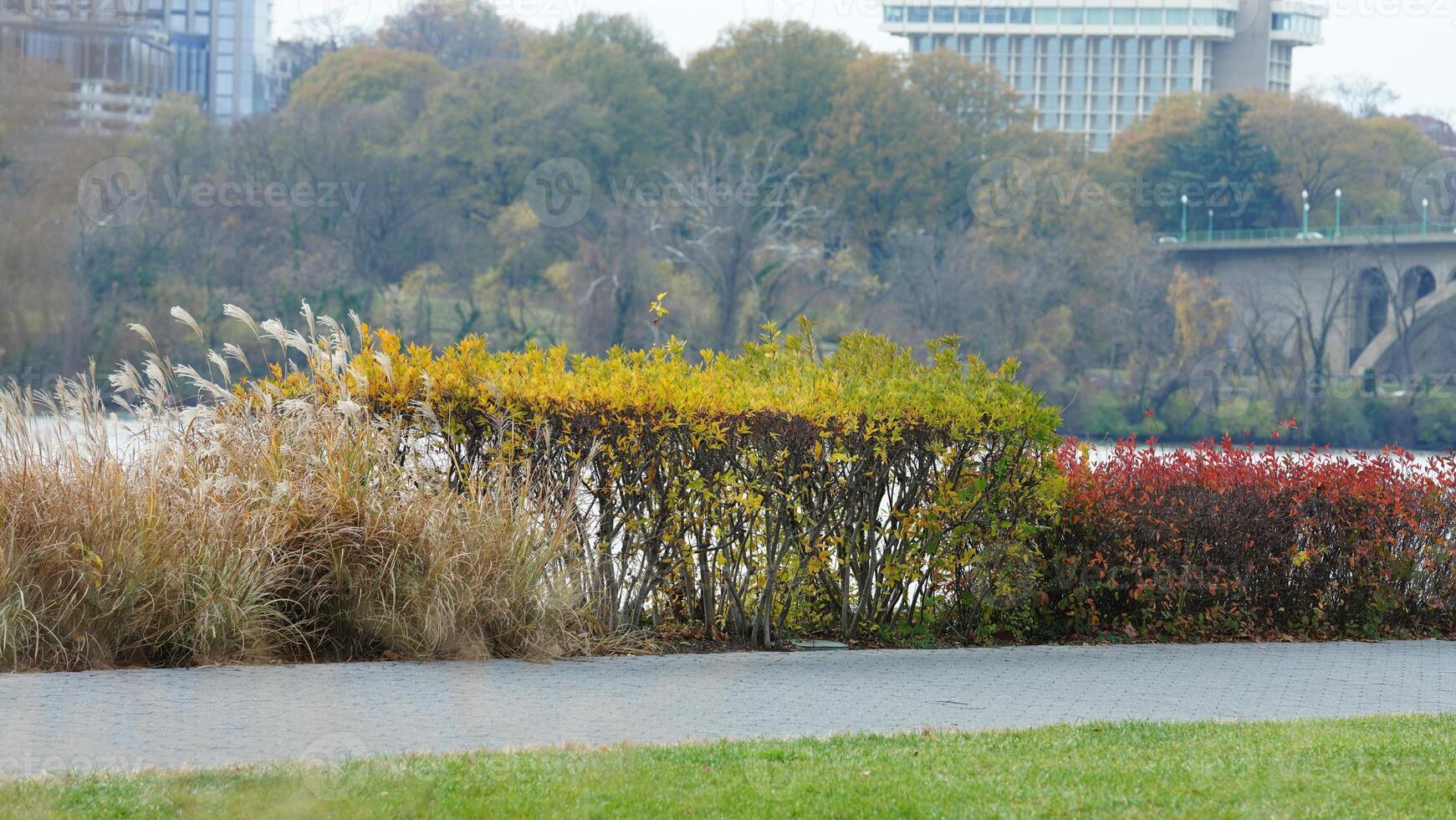 The beautiful Wshington DC city view in autumn photo