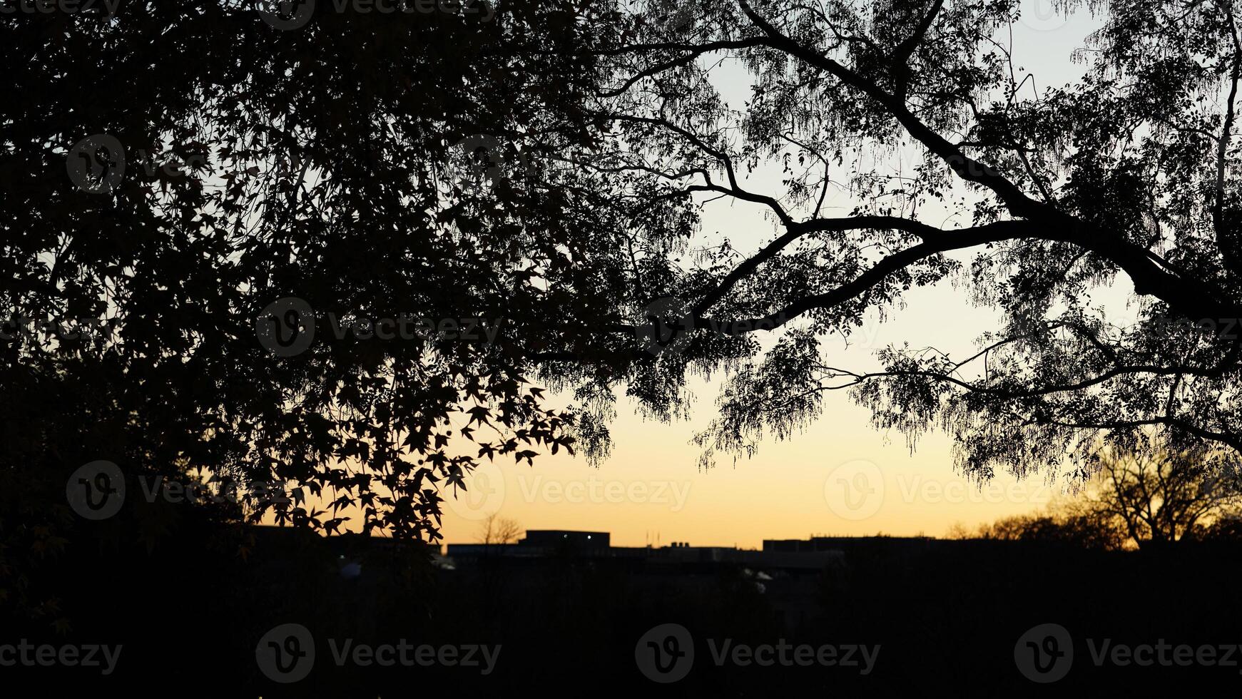 The beautiful sunset sky view with the colorful clouds as background photo