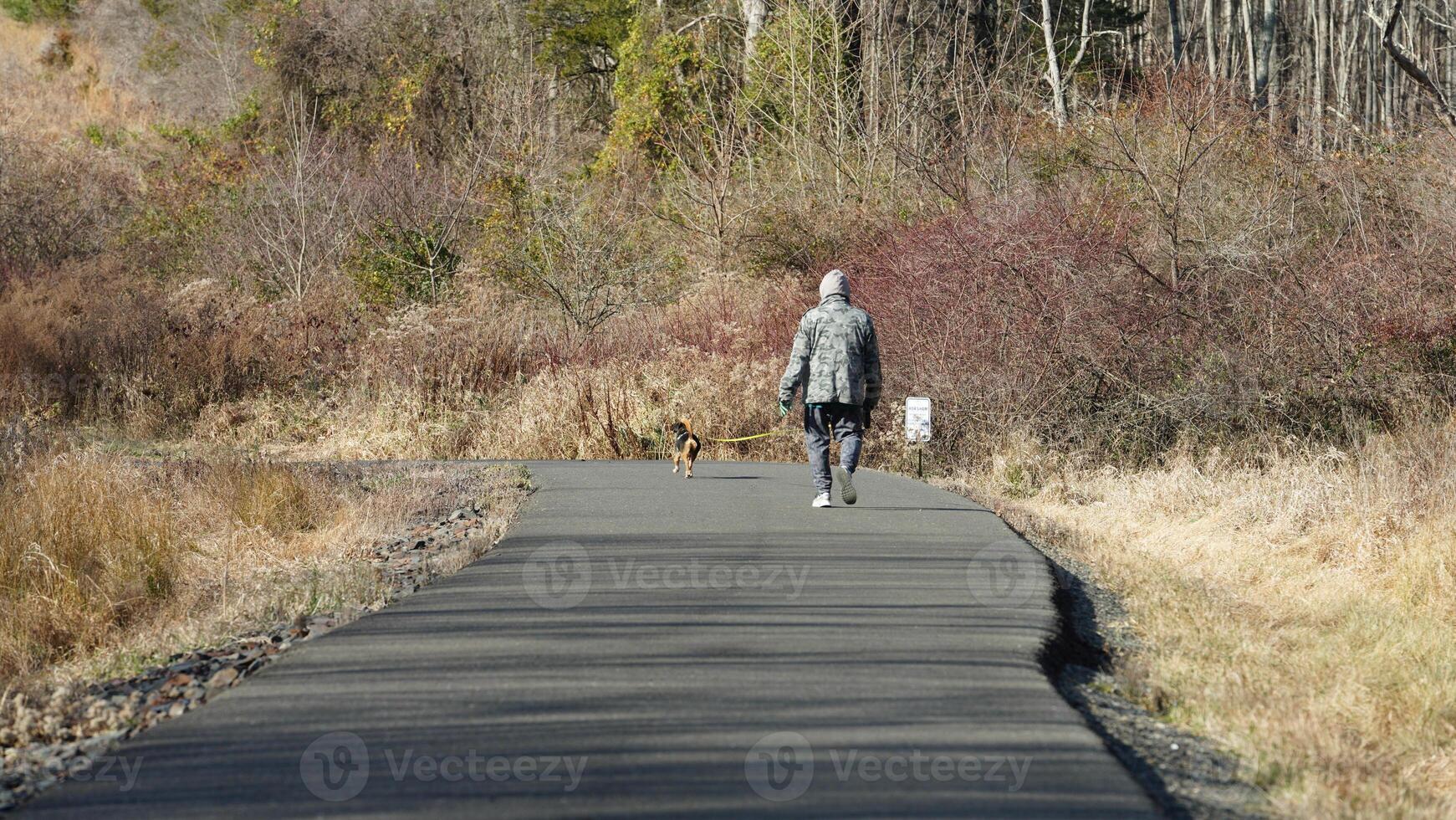 The forest view with a road cross them and several exercise people on the road photo