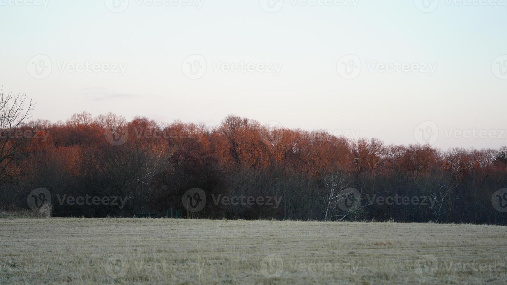 The beautiful sunset sky view with the colorful clouds as background photo