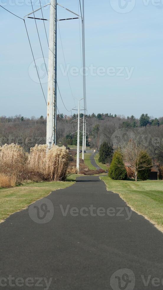 The forest view with a road cross them and several exercise people on the road photo