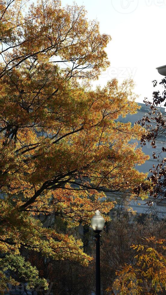 The beautiful Wshington DC city view in autumn photo