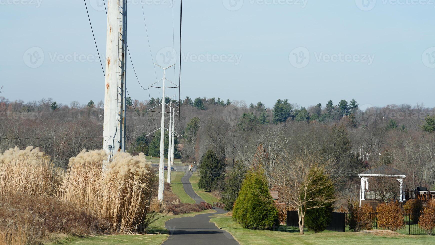 The forest view with a road cross them and several exercise people on the road photo