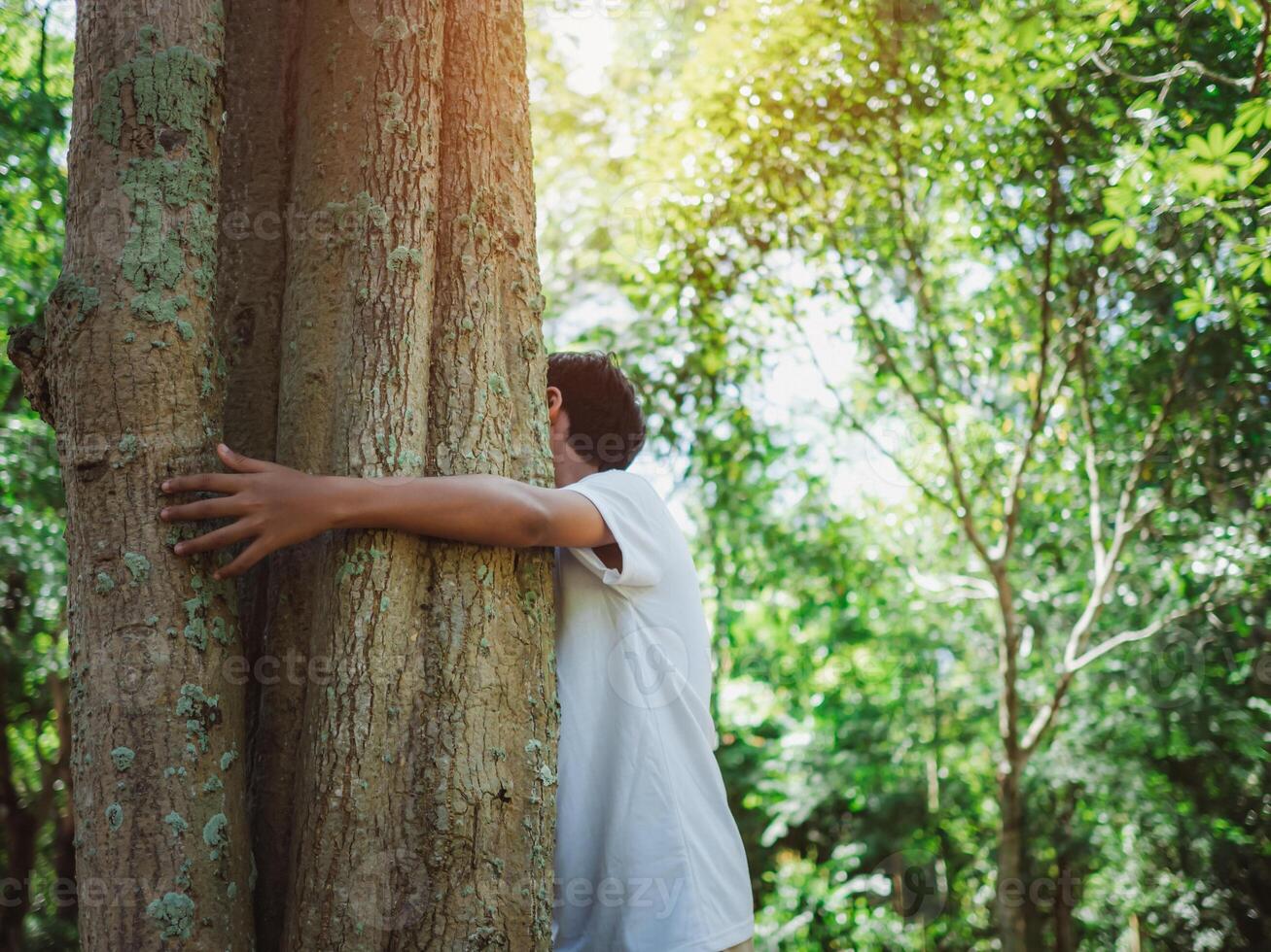 Human hands are hugging a tree in love. Representing helping to preserve the environment. Concept of saving the world. photo