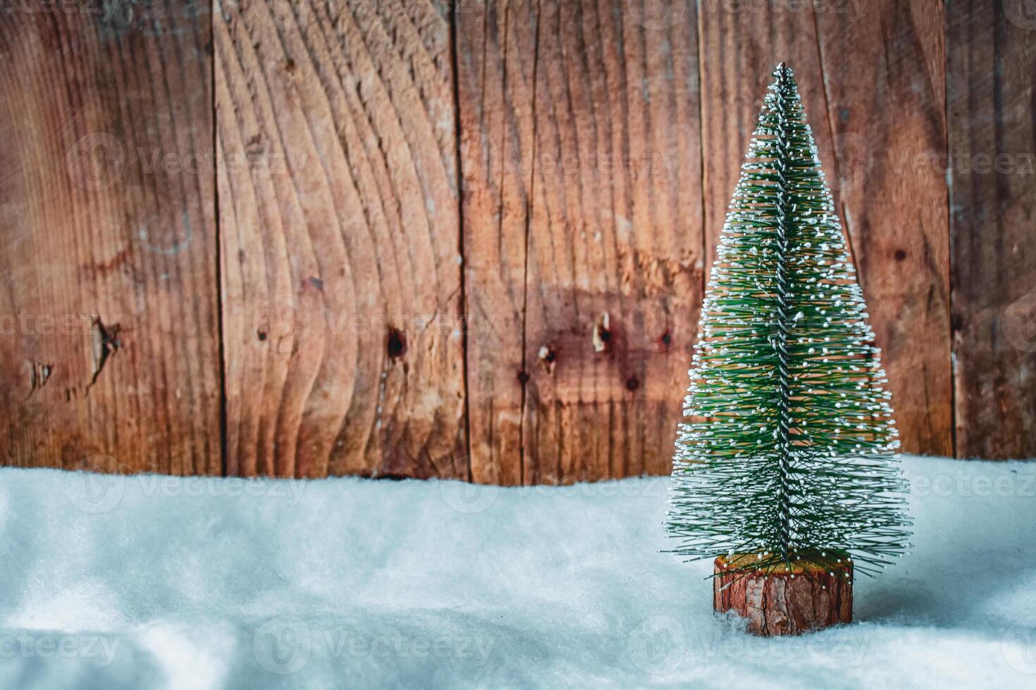 Pine Tree on wooden Background photo