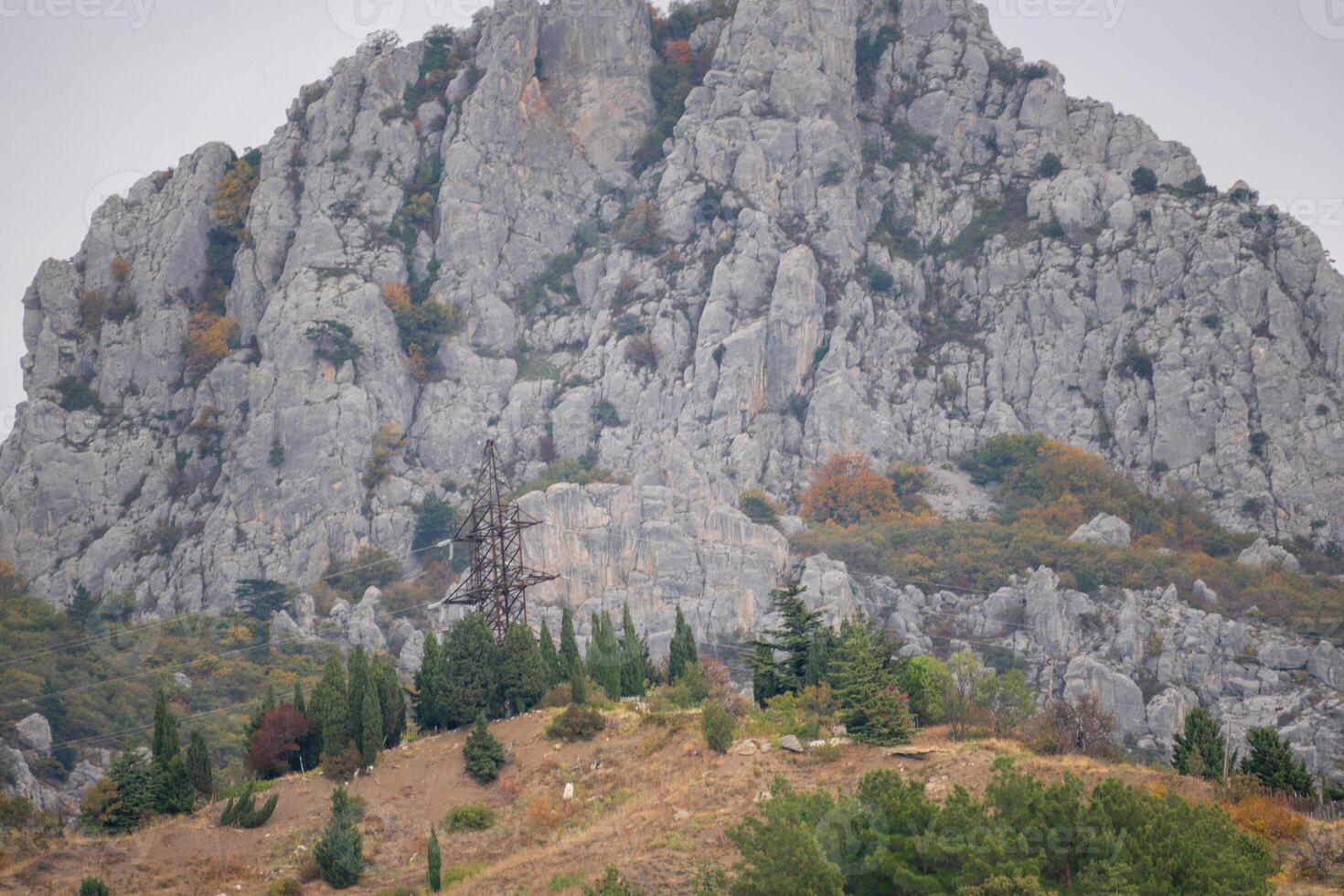 Mountain Cliff Trees Landscape - A large grey cliff face with trees and grass in the foreground. photo