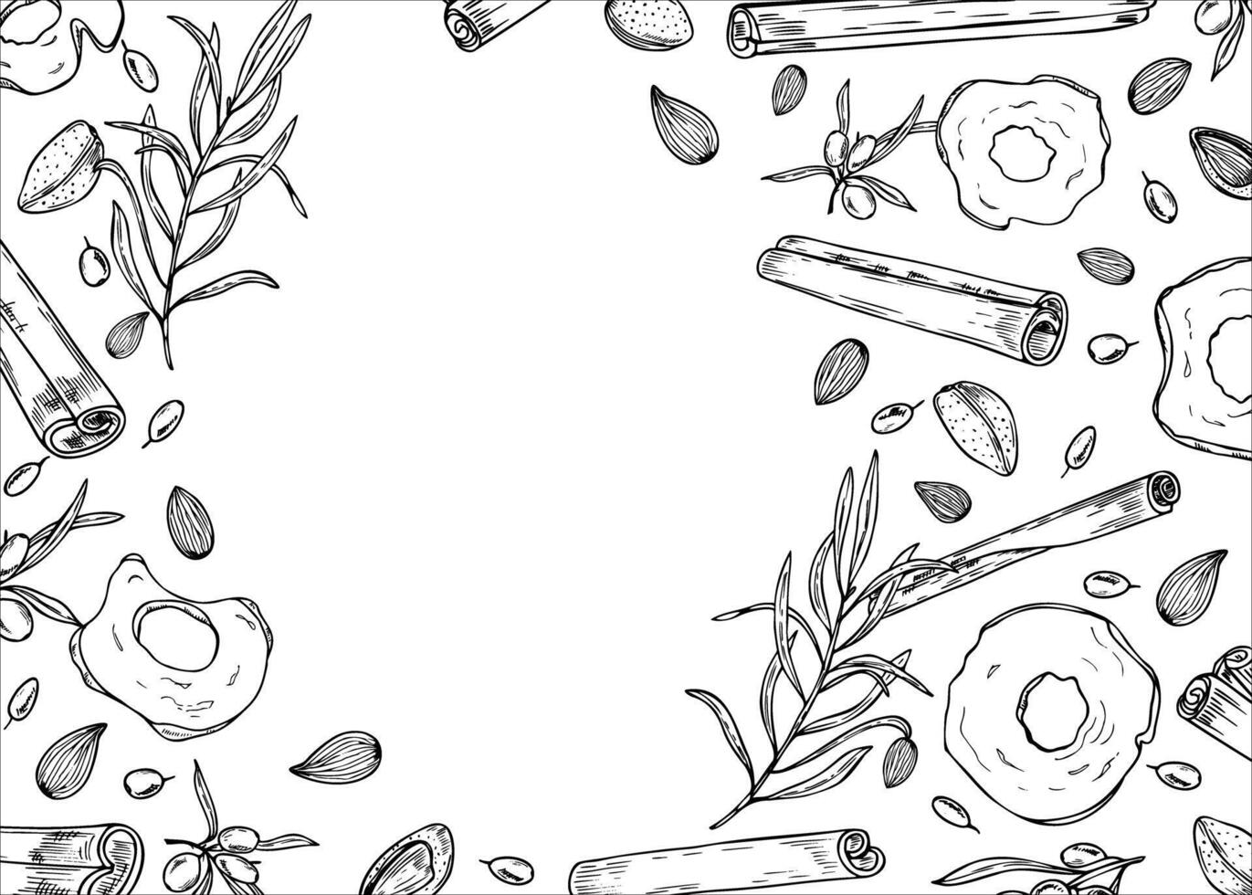 Cinnamon sticks, almond seeds, dried apple slices and sea buckthorn horizontal frame painted by black inks. Winter ingredients monochrome illustration for desserts, drinks. Copy space for text vector