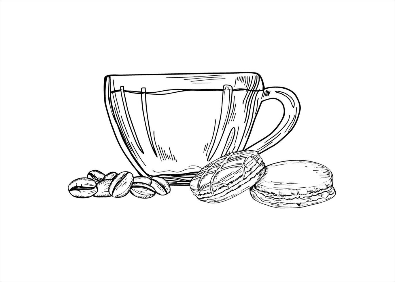 Cup of coffee, traditional French macarons and coffee bean heap isolated illustration painted by black inks. Glass mug with hot drink, sweets for breakfast etching drawing. For package design vector