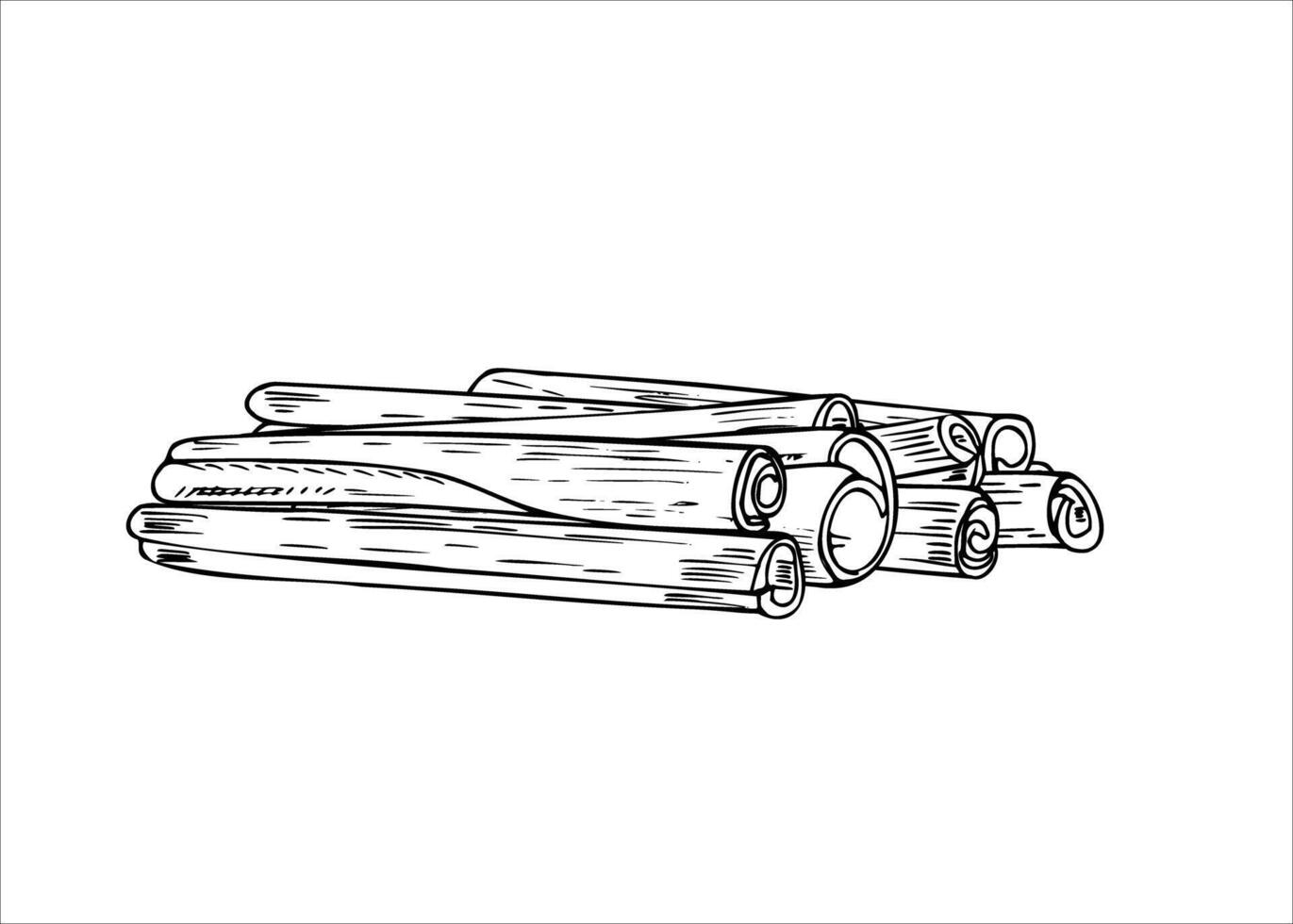cinnamon sticks pile isolated illustration in black and white colors. Seasoning ingredients monochrome illustration etching drawing. Template for winter sweet desserts, drink decor vector