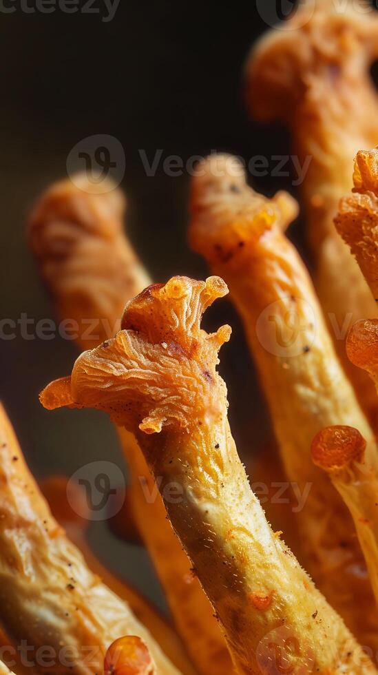 close-up of cordyceps mushroom fungus Cordyceps militaris Traditional Chinese medicine Supplements adaptogen Alternative Oriental Medicine photo