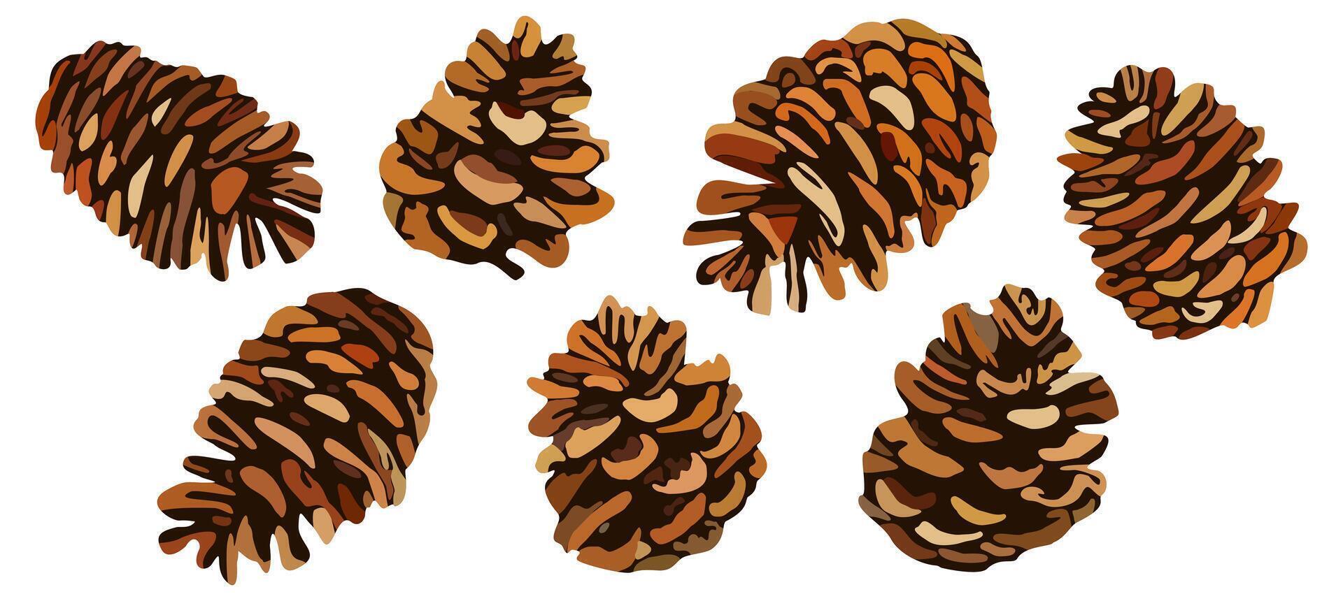 Fir cones. set isolated on white background vector