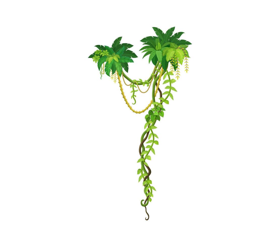 Jungle rain forest liana vine branch and leaves vector