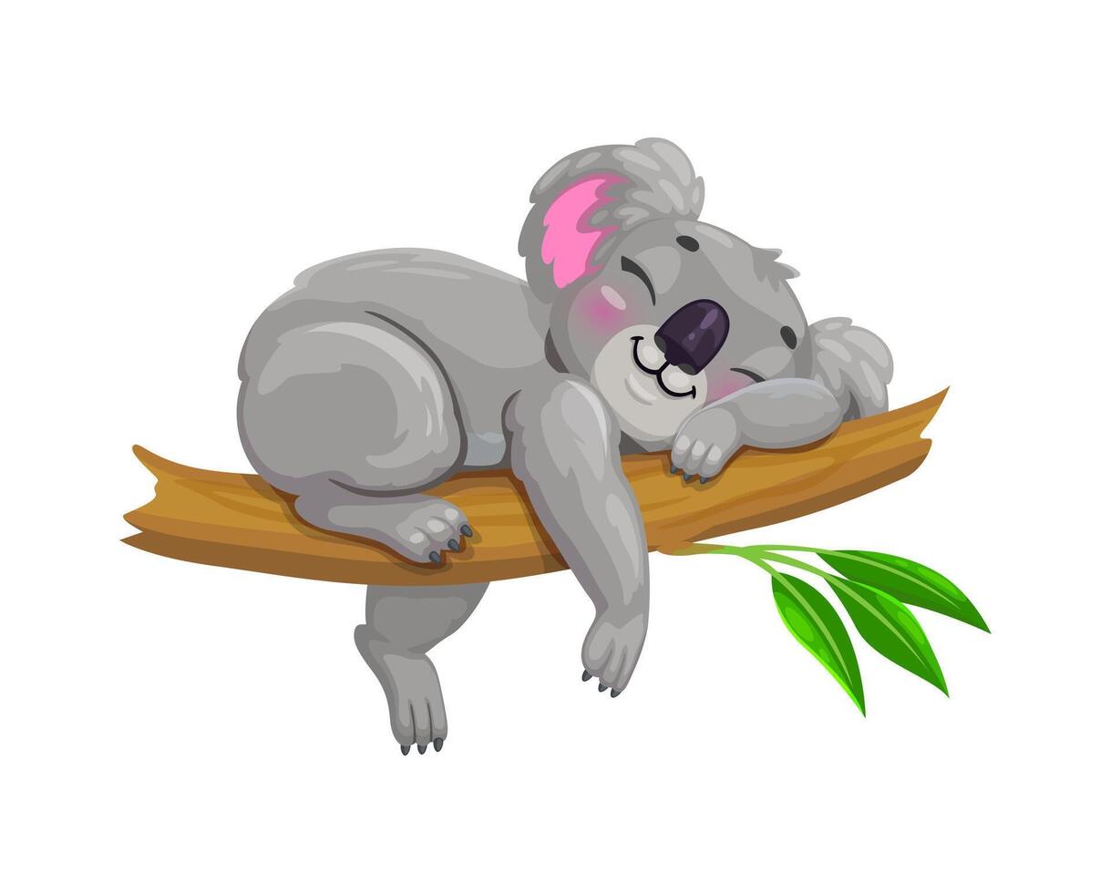 Cartoon cute sleeping koala bear character vector