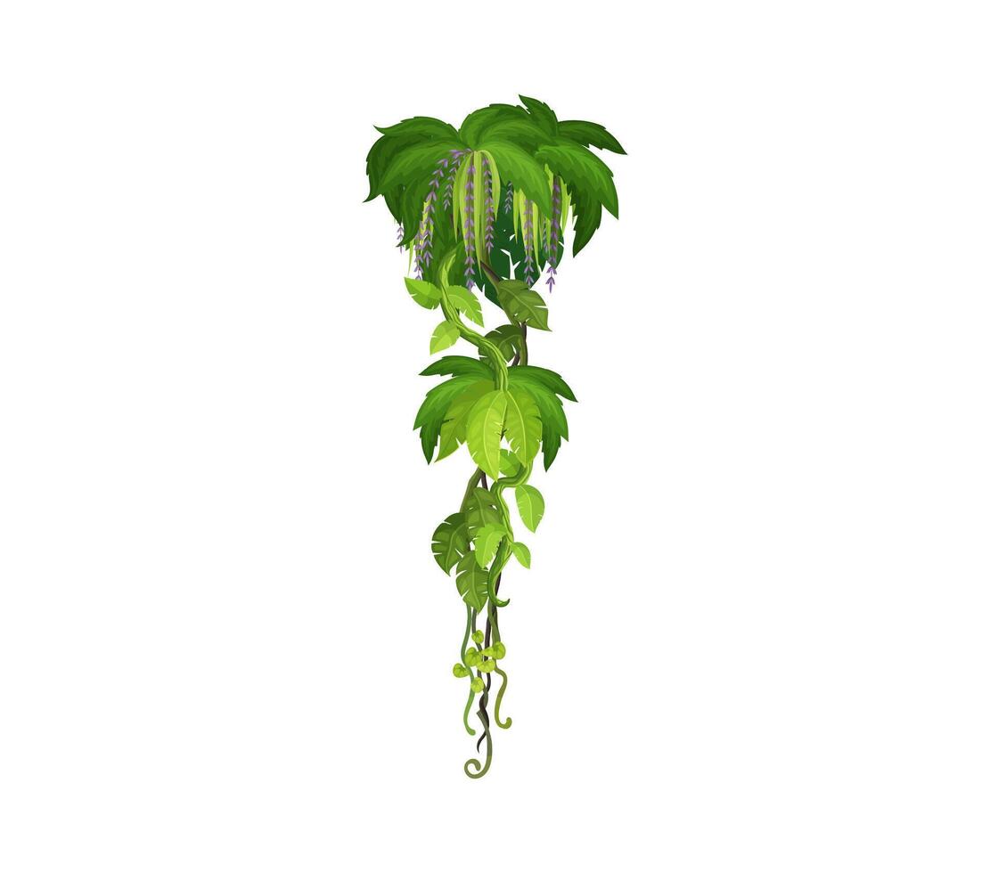 Tropical jungle forest vertical liana, vine branch vector