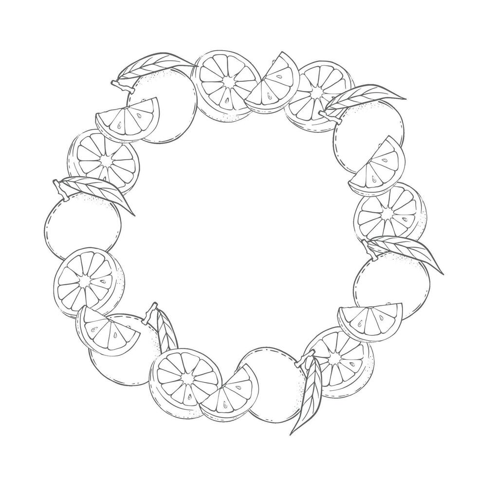 Round frame of oranges, tangerines, citrus vector