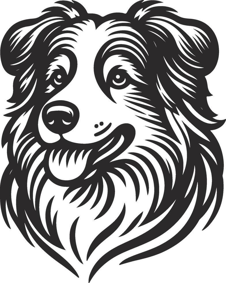 Elegant Aussie Lines vector