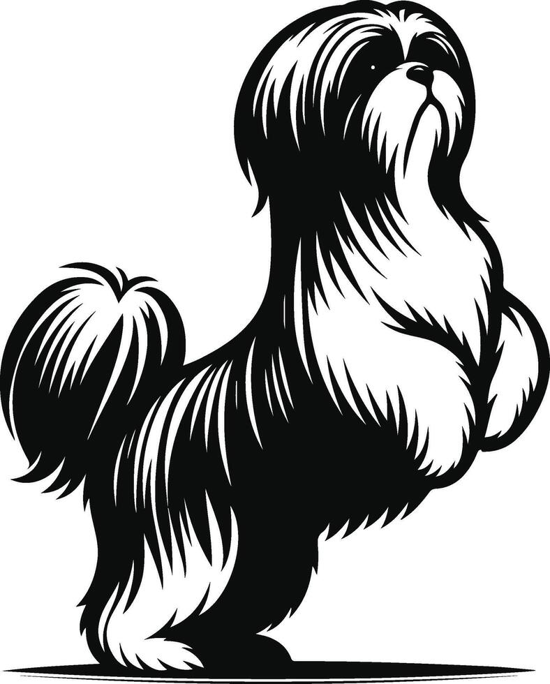 Bare Shih Tzu Silhouette vector