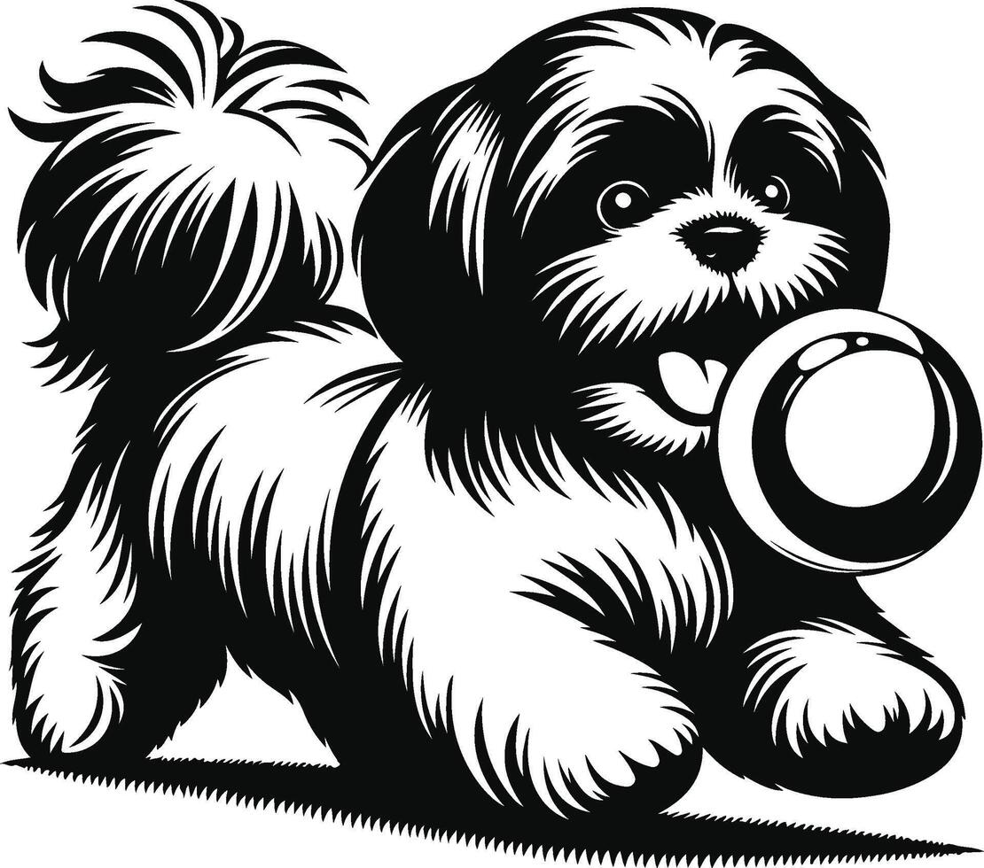 Shih Tzu Graceful Outline vector