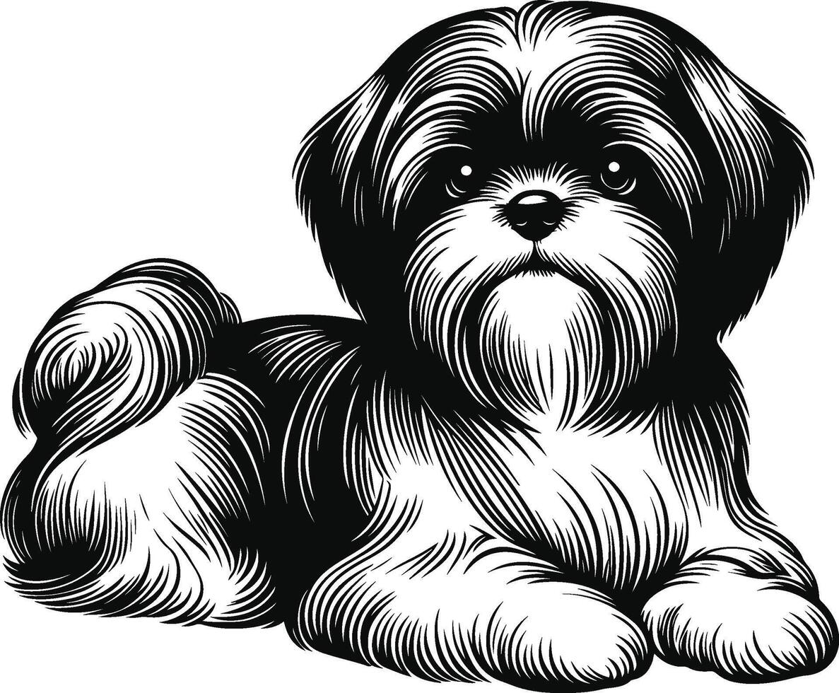 Charming Shih Tzu Line Work vector