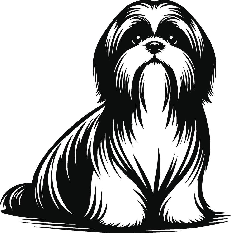 Shih Tzu in Clean Lines vector