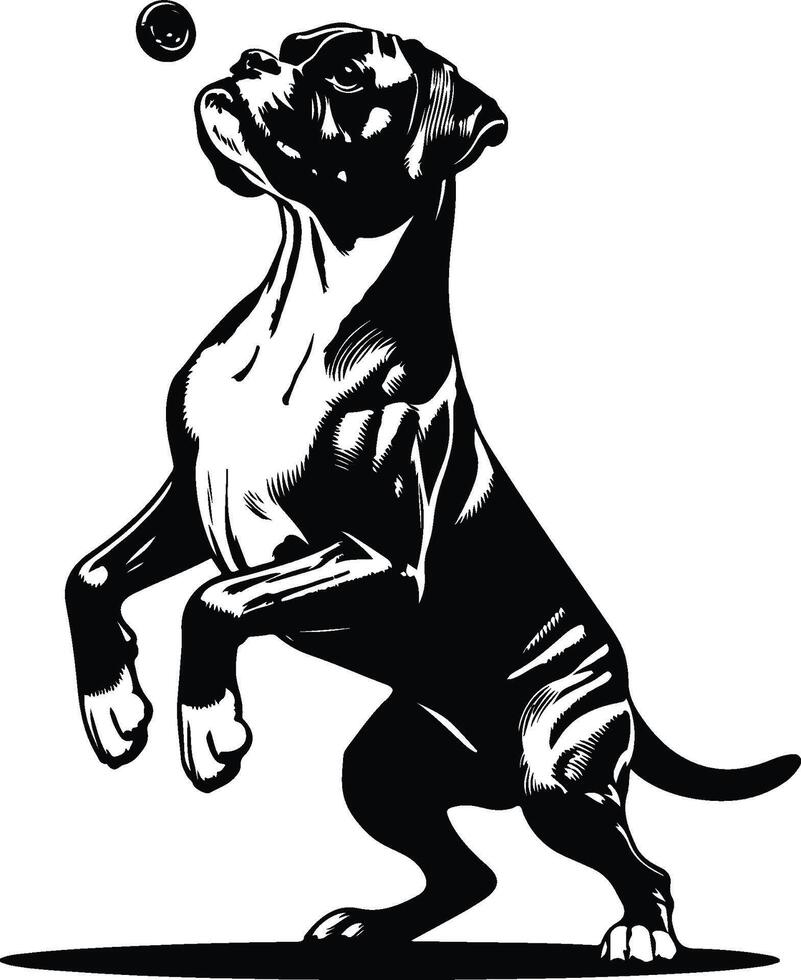 Majestic Boxer Silhouette vector