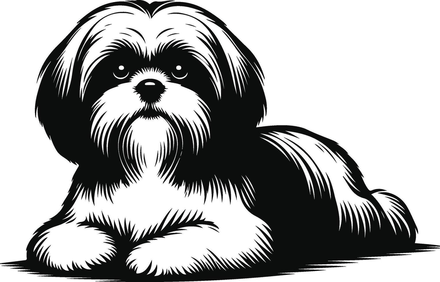 Subtle Shih Tzu Outline vector