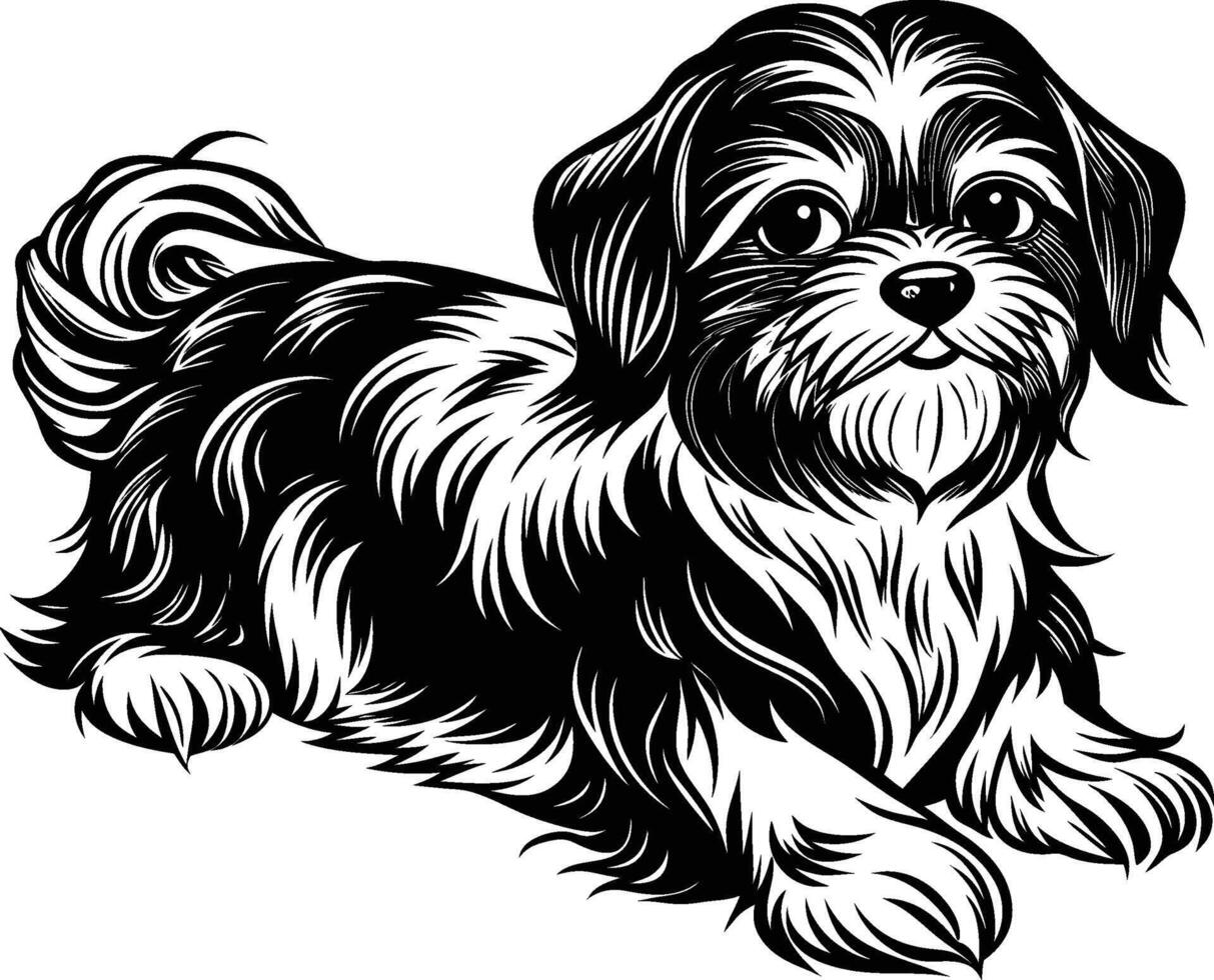 Refined Shih Tzu Silhouette vector