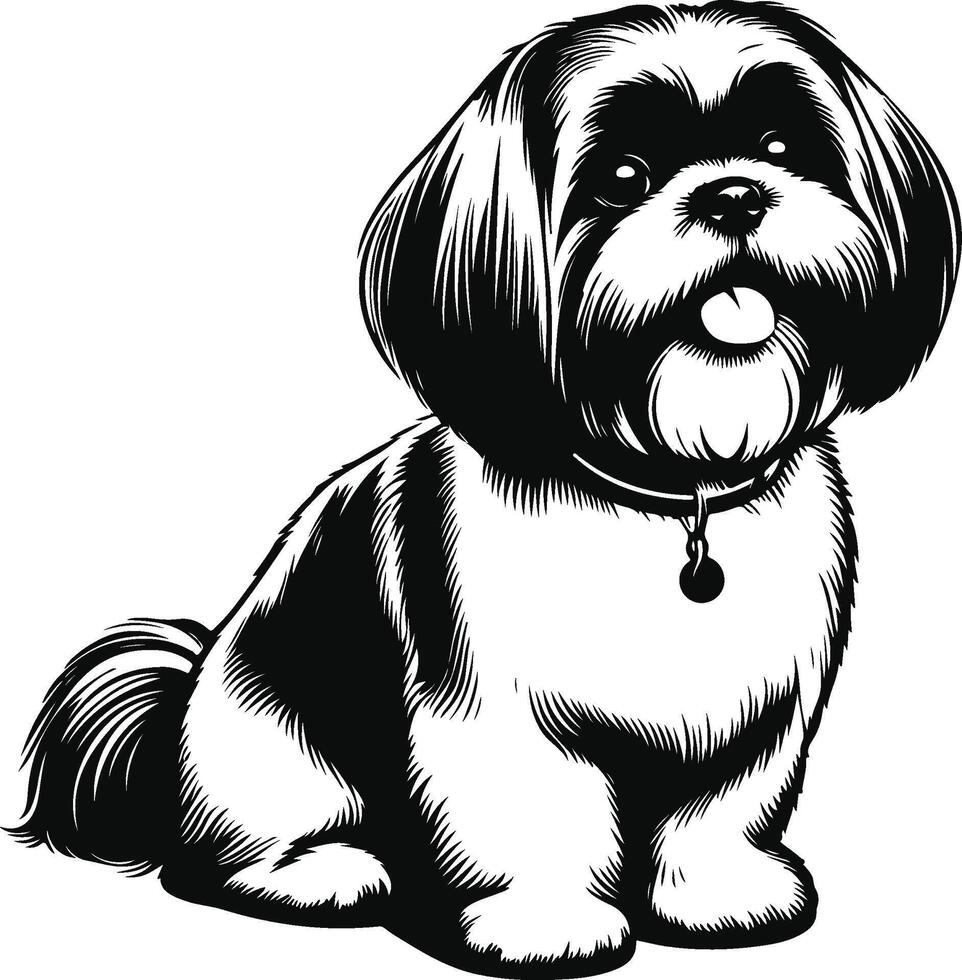 Shih Tzu Silhouette Minimalism vector