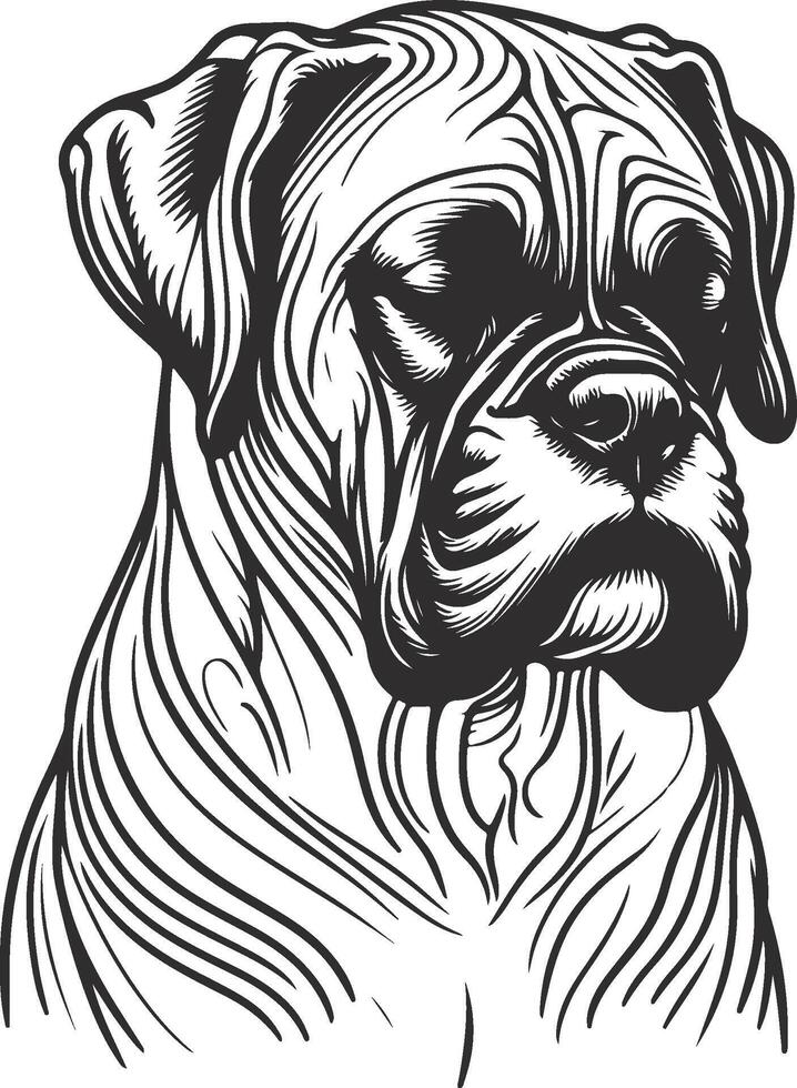 Timeless Boxer Look vector