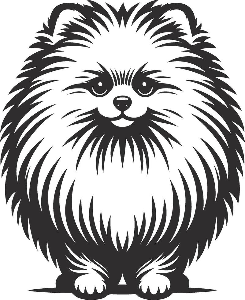 Graceful Pomeranian Sketch vector