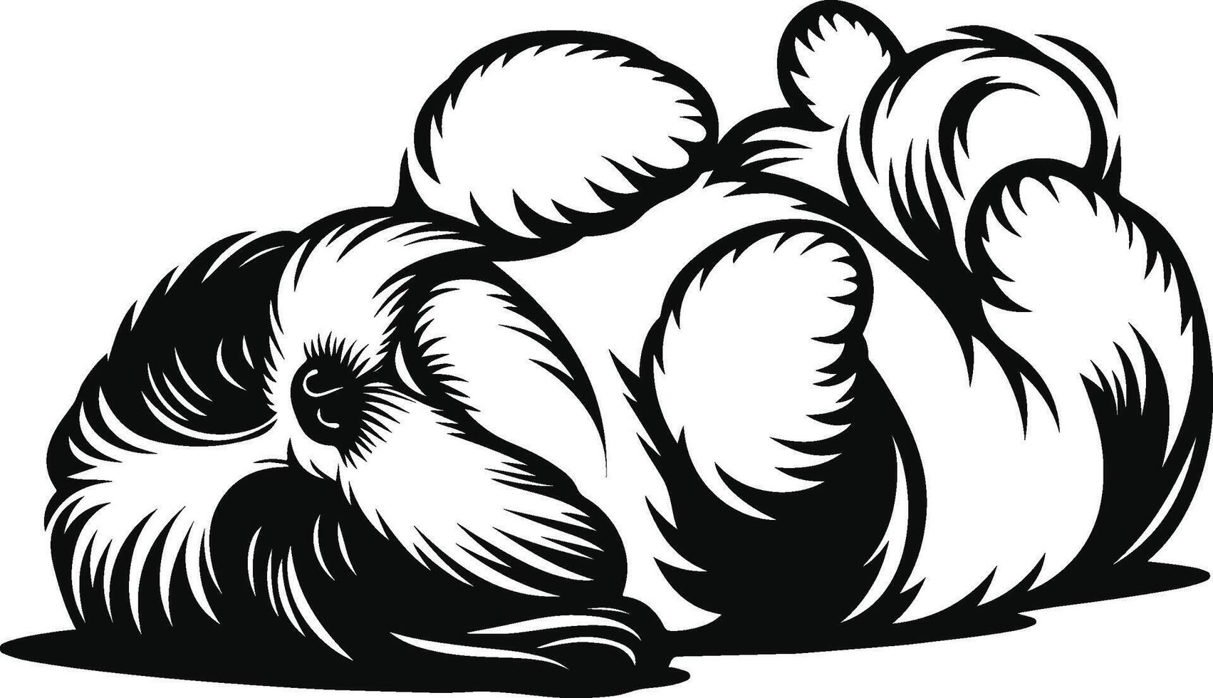 Basic Shih Tzu Form vector