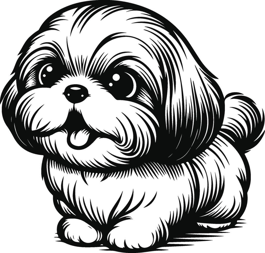 Elegant Shih Tzu Outline Art vector