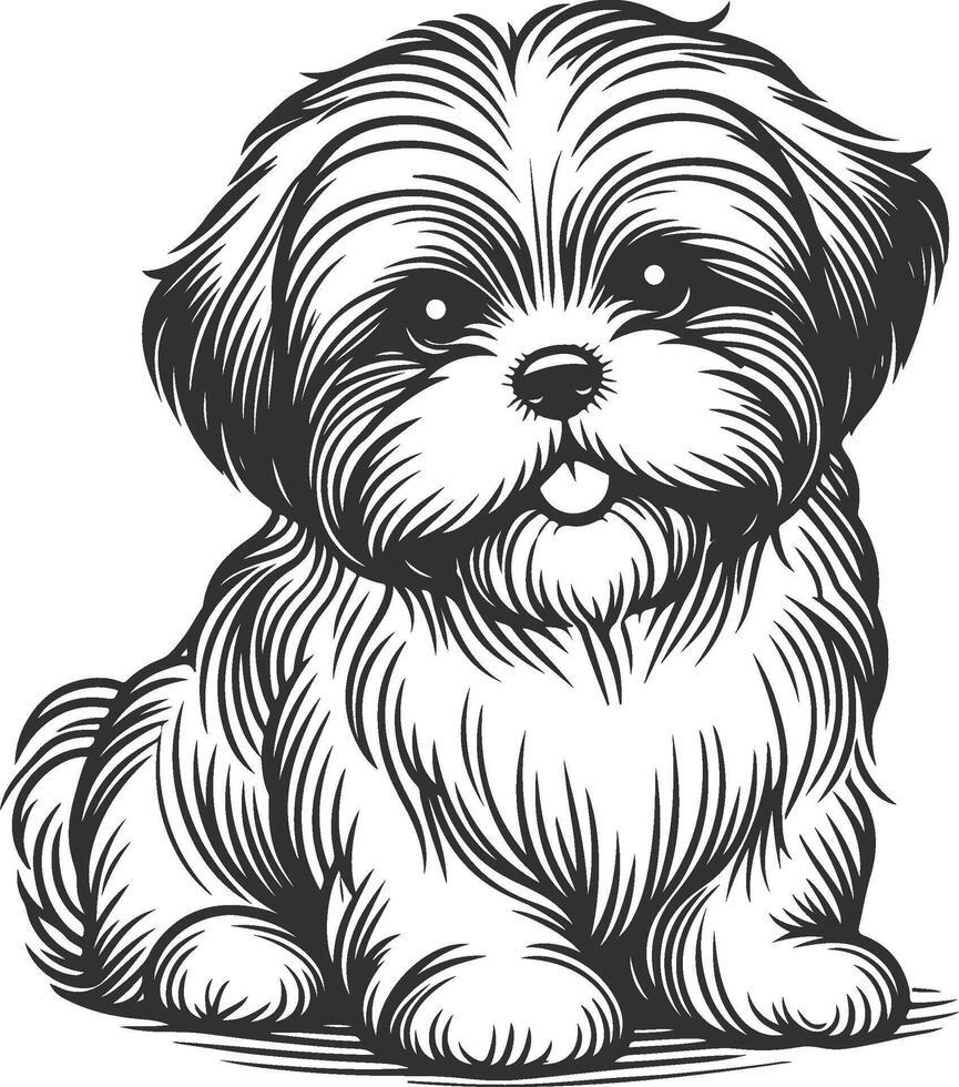 Shih Tzu Flowing Fur Design vector