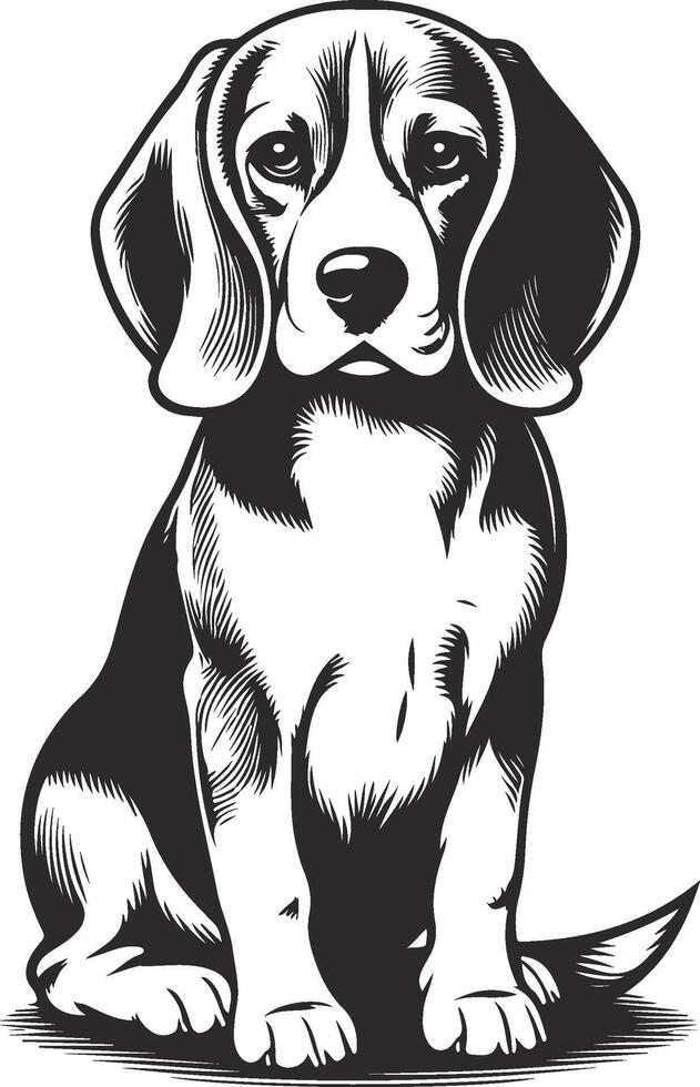 isolated one single sitting Beagle dog head front view black and white bw two colors silhouette vector